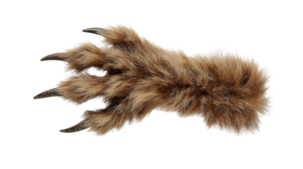 Furry animal paw with sharp claws, isolated, representing monster, predator, halloween, or wild creature