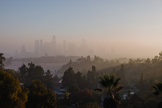 City Skyline Shrouded in Morning Fog at Sunrise in Los Angeles
