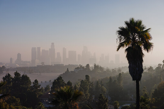 Density of Fog Over Los Angeles Skyline in the Early Morning
