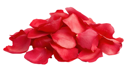 Close up group of red rose petals isolated on transparent background for love theme