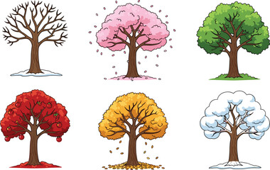 Four seasons tree illustration set showing spring summer autumn winter foliage changes colorful flat vector design for nature education branding