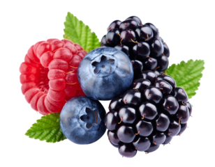 Assortment of Fresh Berries Including Raspberries, Blueberries, and Blackberries fruit raspberry