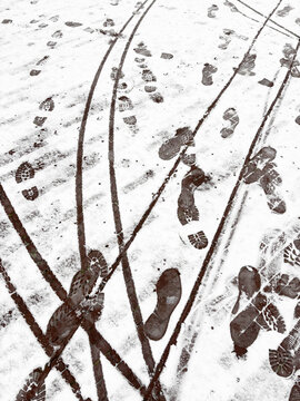 tracks in the snow