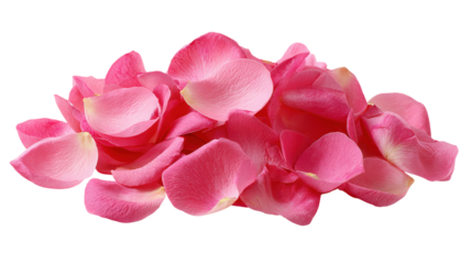 Pile of pink rose petals romantic fresh spring rose petals flower petal texture