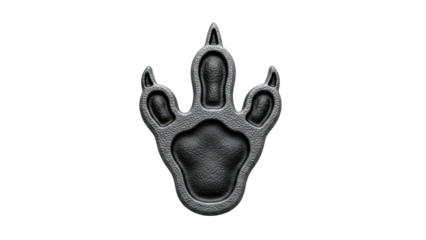 Black Dinosaur Footprint Fossil