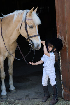 Girl stroking nose of a horse