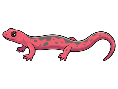 Vector illustration of pink lizard on white background isolated design suitable for wildlife, animal, reptile, tropical, or exotic themed creative artwork