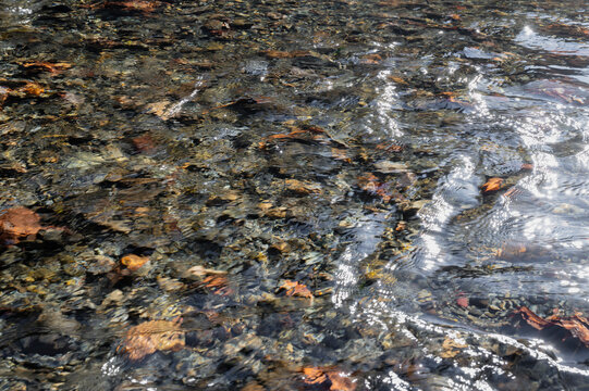 Close Up of Clear River Water 