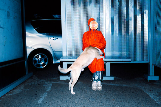 Person and Dog at Bus Stop at Night