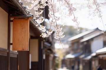 Cherry blossoms over traditional building