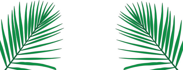 Obraz premium Minimalist composition of two green palm fronds framing a solid transparent background. Tropical leaf border design.