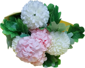 분홍 꽃 꽃다발 수국 