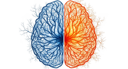Abstract brain split medical art visualizing duality thought process cognition transparent background black background