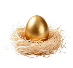 Obraz premium Golden Egg in a Nest Symbolizing Wealth