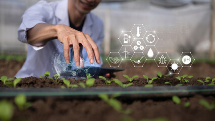 Smart agriculture researcher monitors seedlings using digital data and soil analysis technology in greenhouse for precision farming