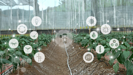 Plants grow in greenhouse with digital icons showing data driven agriculture technology for monitoring nutrients energy and sustainability
