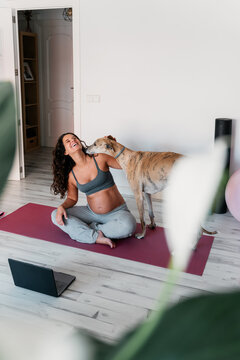 Pregnant woman doing a workout and being interrupted by her dog