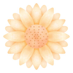 Sunflower Watercolor illustration valentines day of love elements