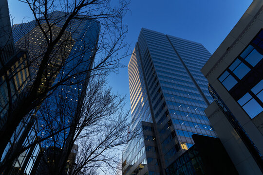 Blue-Toned Glass Towers at Dusk in Downtown Calgary
