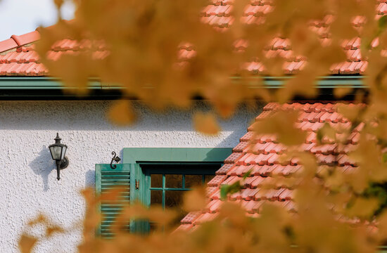 Yellow Leaves, Red Tiles, White Wall, and Green Window Frame.