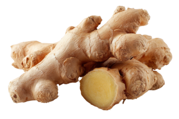 Detailed Fossilized Animal Bone Cluster With Amber Colored Central Section ancient