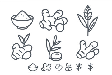 Obraz premium Outline drawings of fresh ginger root, powdered spice, and flowering plant for culinary use