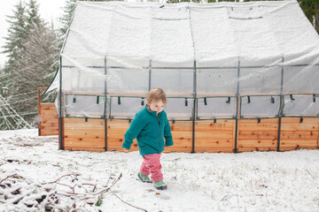 Toddler enjoys free outdoor play in the winter snow beside a backyard greenhouse garden bed. Outdoor parenting, forest school, slow living, family life, and year-round gardening in cold climates.