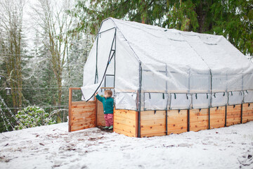 Toddler enjoys free outdoor play in the winter snow beside a backyard greenhouse garden bed. Outdoor parenting, forest school, slow living, family life, and year-round gardening in cold climates.
