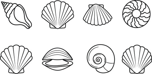 Silhouette of various seashells on a white background