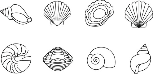 Silhouette of various seashells on a white background