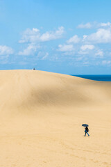 Obraz premium 鳥取砂丘 日本海