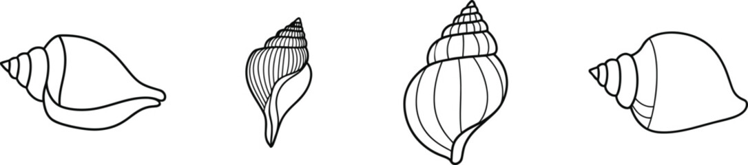 Silhouette of four seashells in various shapes and sizes