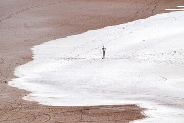 Solitary metal figure standing on a vast salt-crusted lakebed.