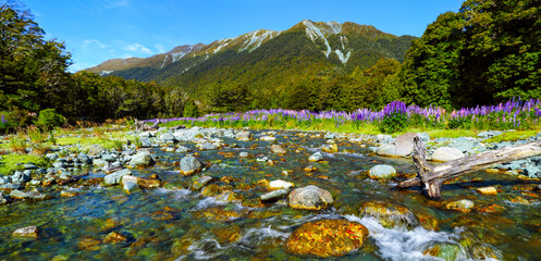 Purple lupin flowers line the banks of Cascade Creek with mountains in background