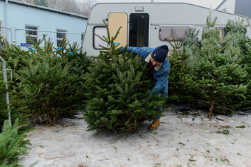 Man Choosing a Christmas Tree at Outdoor Market