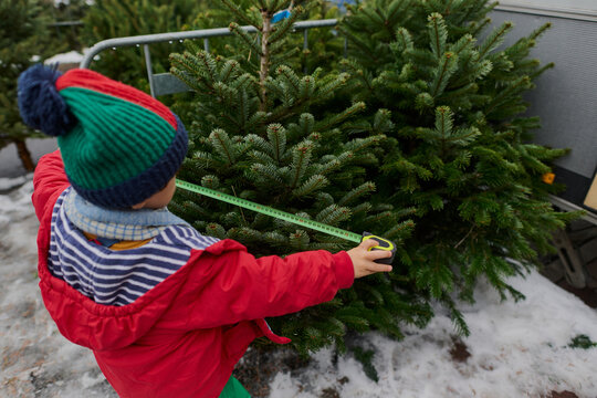 Child Measuring a Christmas Tree at Outdoor Market