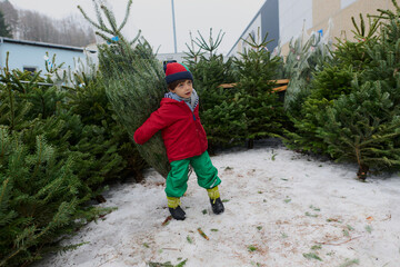 Little Boy Carrying Wrapped Christmas Tree at Outdoor Market