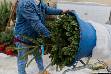 Wrapping a Christmas Tree in Netting at Outdoor Market
