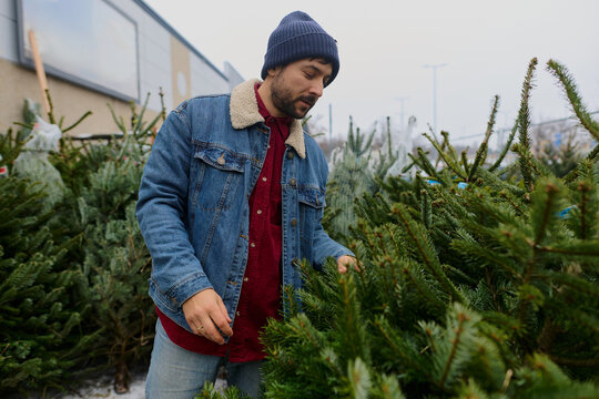 Man Selecting Christmas Tree at Outdoor Market