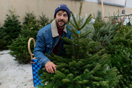 Man Selecting Christmas Tree at Outdoor Market