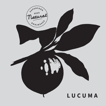 Lucuma plant with leaves vector illustration. Superfood. Minimalist art botanical poster template. Trinket design element.
