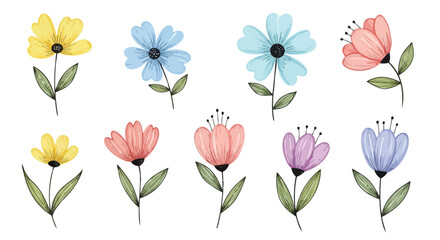 Delightful watercolor-style floral collection for decorative projects and spring themes