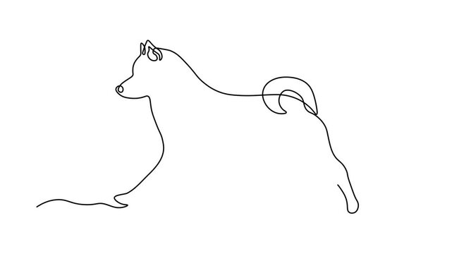 Abstract husky Dog, laika. Self drawing animation one continuous line draw, logo on white background