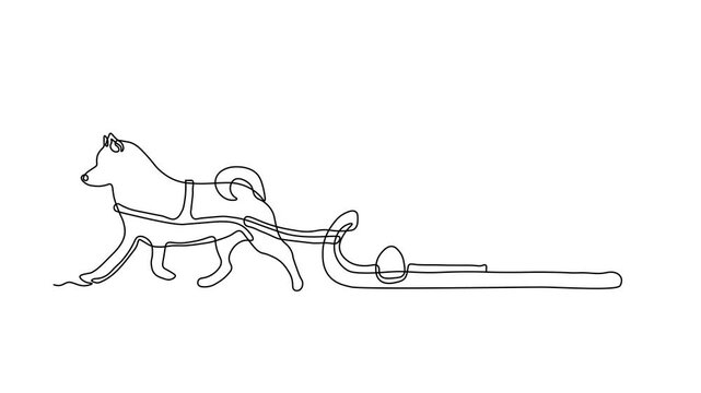 Abstract husky Dog, laika and sled,cart. Self drawing animation one continuous line draw, logo on white background