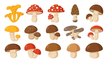 Forest mushrooms cartoon vector set with chanterelle and amanita isolated on transparent background © MdRoni