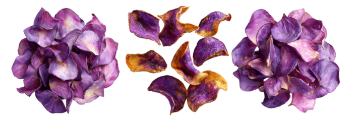 Set of Taro Chips deep-fried on wooden plate or dried purple rose petals isolated on white transparent background