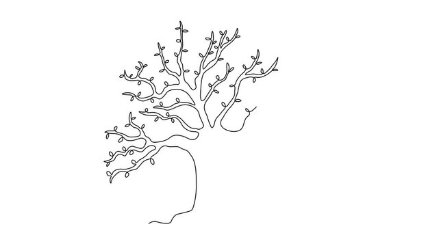 Abstract gnarled branching tree with hollow, squirrel house, oak, Self drawing animation one continuous line draw, logo on white background
