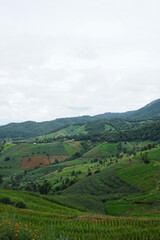 Obraz premium Natural landscape view of green rice paddy terrace