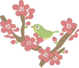 梅の花と枝にメジロやウグイスがいるベクターイラスト透明背景