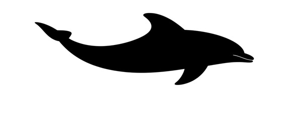 Black silhouette of a long dolphin swimming, isolated on white background. Minimal marine animal illustration representing ocean life, freedom, elegance, and aquatic movement.
